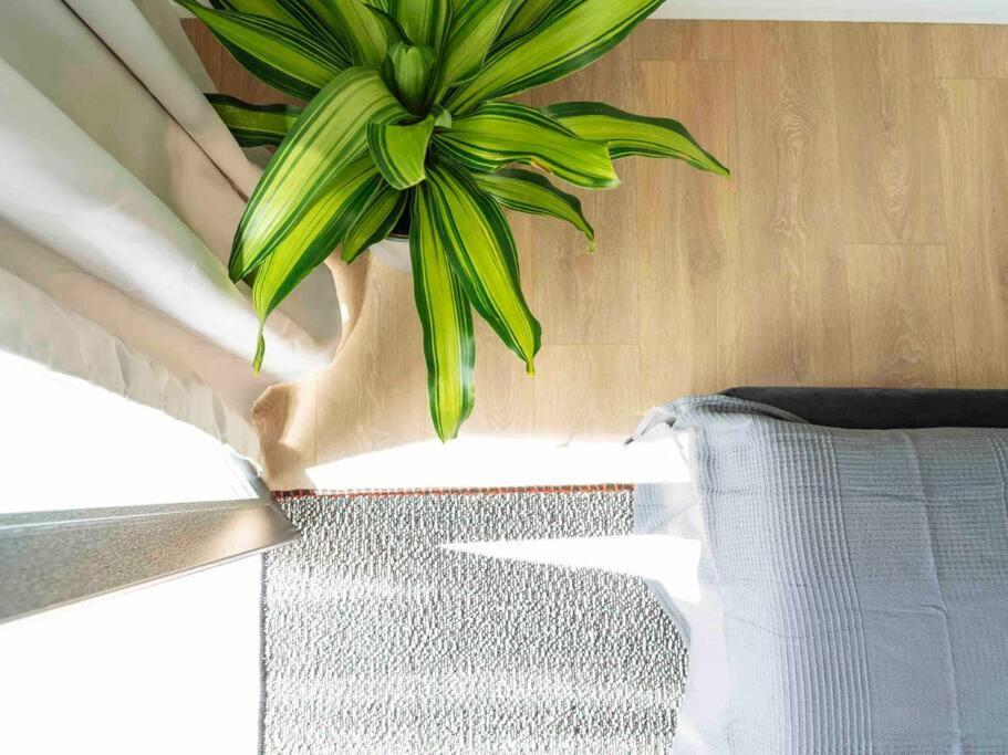 Bright 2Br Apartment - Top Location - City Balcony ブカレスト エクステリア 写真